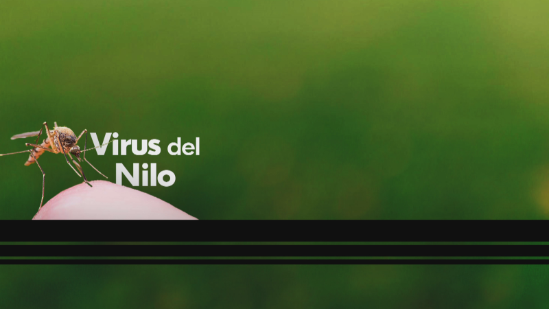 Prevención del Virus del Nilo - Ver ahora