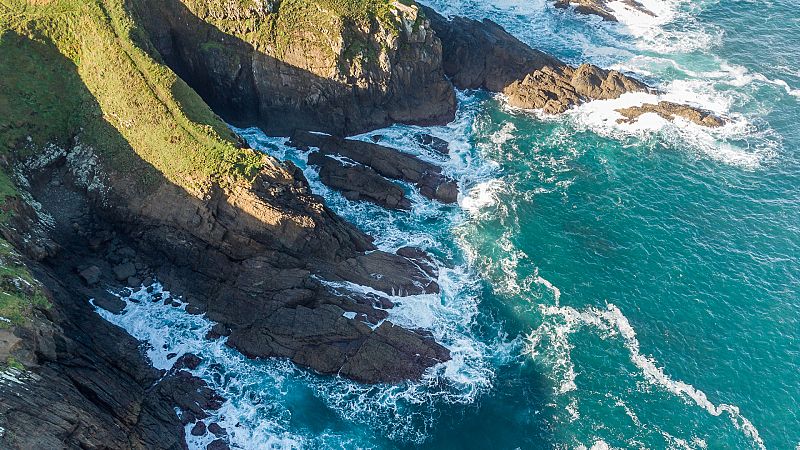 Sobrevolando el mar en busca de pélets | Ver